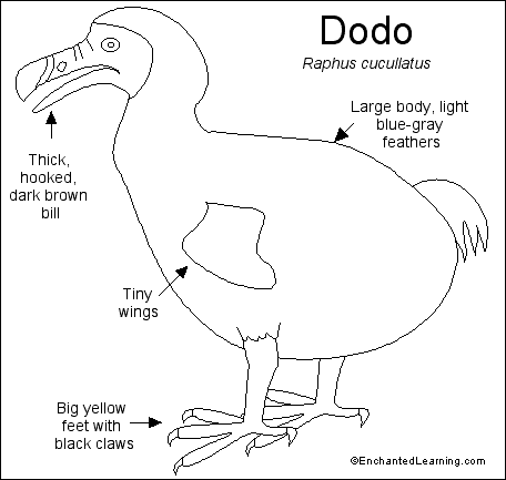 Dodo